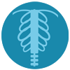 Symbol_Roentgen